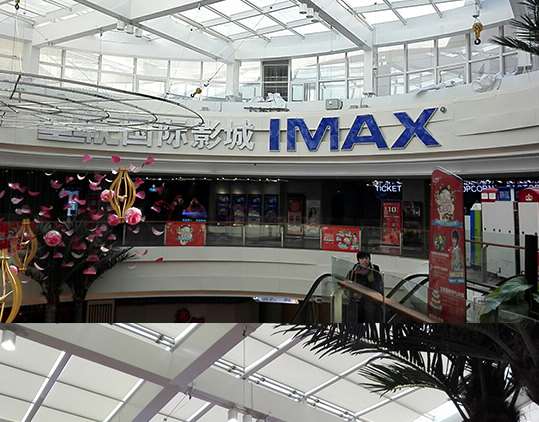 �l(f��)�����L(zh��ng)��ʹ�Ñ�(y��ng)��Щʲô